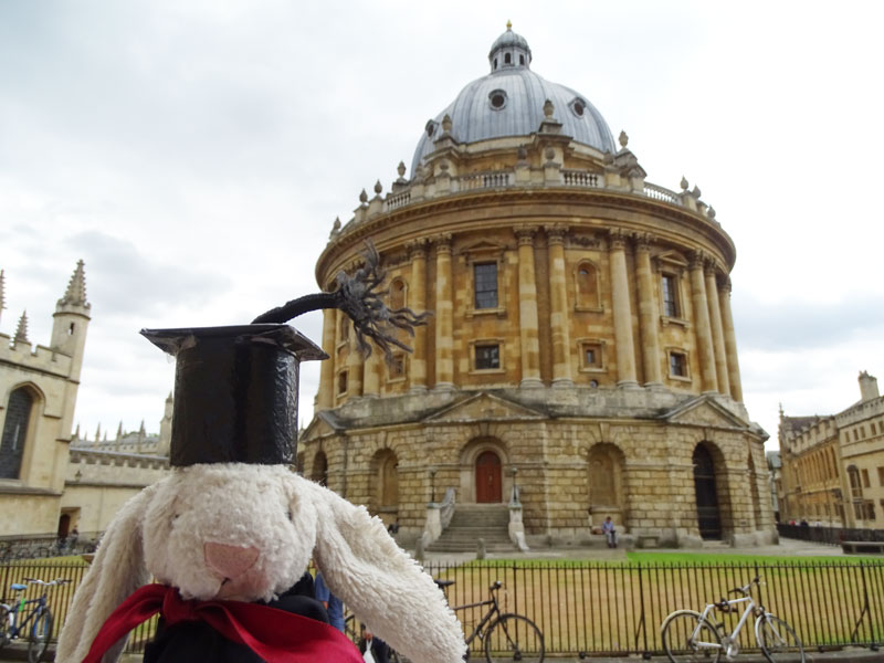 Rabbit in front of Radcliffe Camera in Oxford
