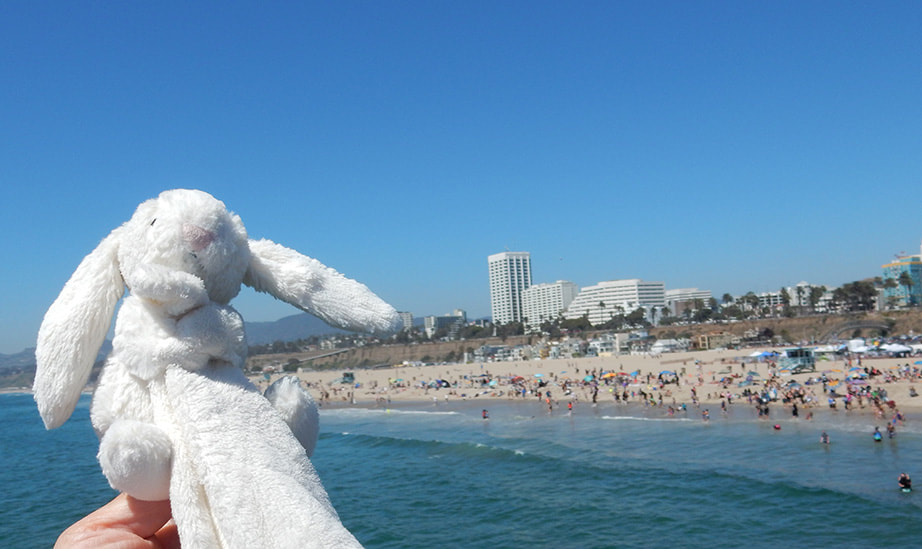 Beach Bunny in Santa Monica, California.